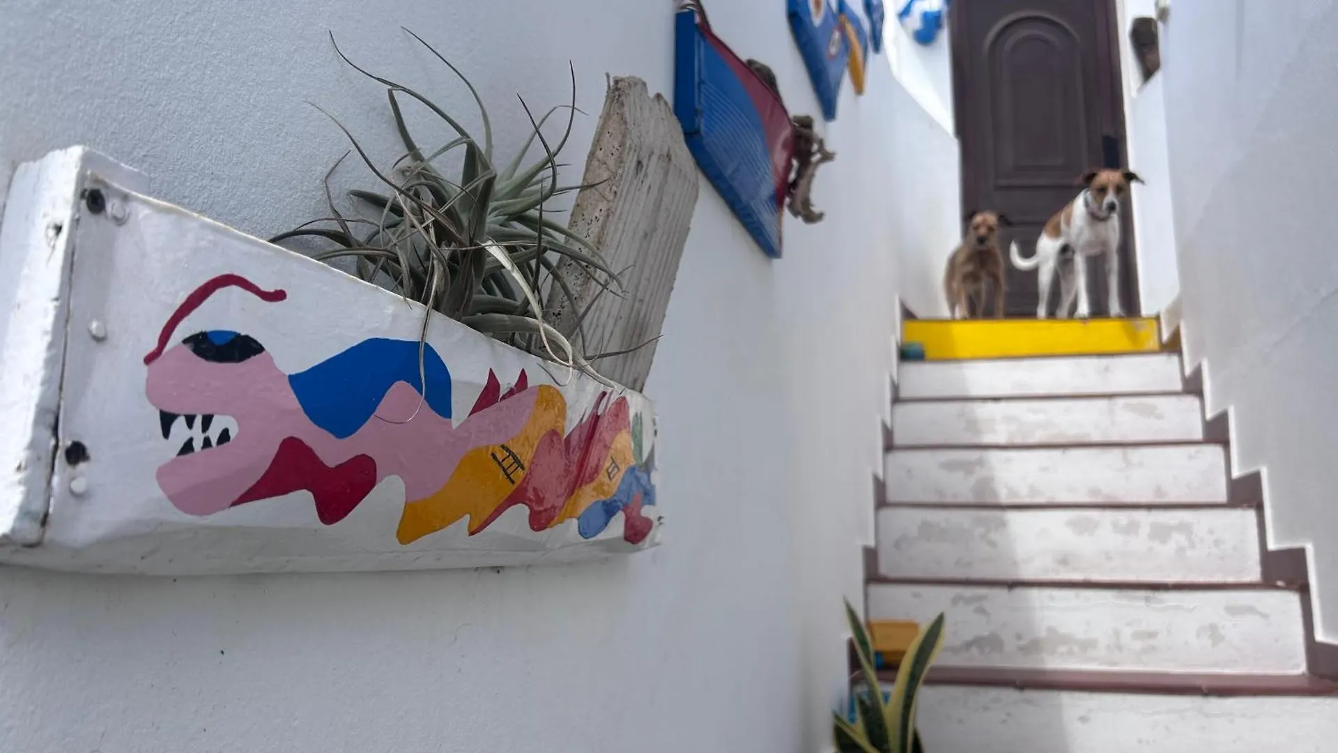 La Buganvilla Rooms Pensjonat Arrecife (Lanzarote)
